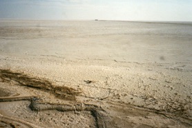 CHOTT EL DJERID
